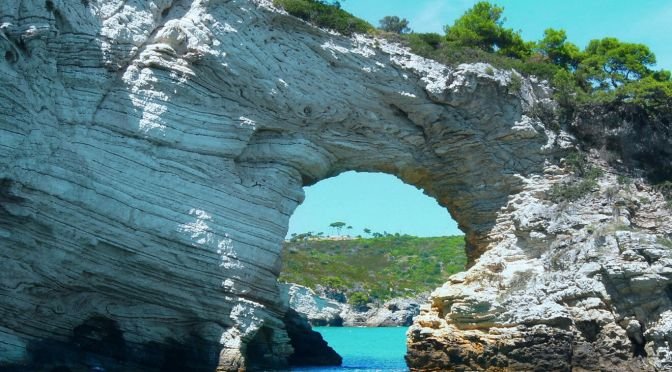 Premium Hotel (Demo)