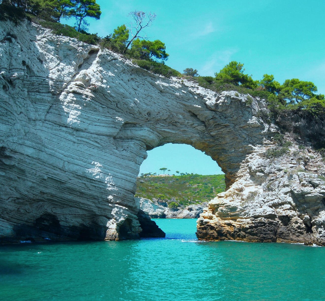 Premium Hotel (Demo)